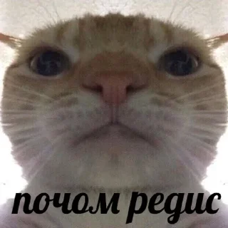 😾
