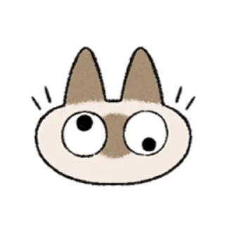 😺