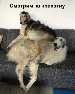 😍