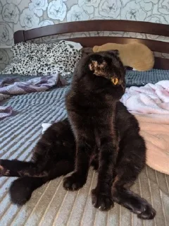 😶