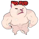Vibe cat  made by @rock_king319
