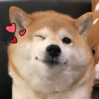 💓