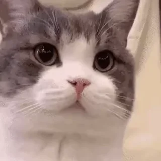 🖐