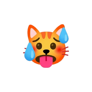🐱