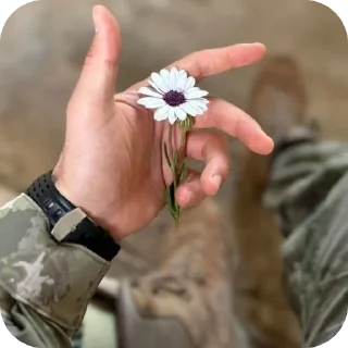 ✋