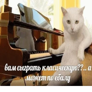 👊