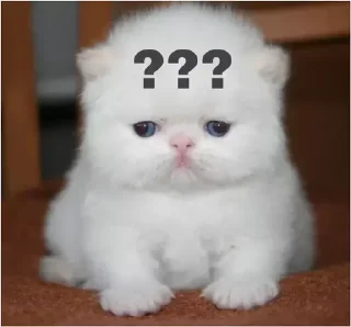 ❓