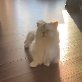 😌