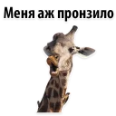 😂