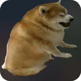 ✋