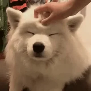 🥰