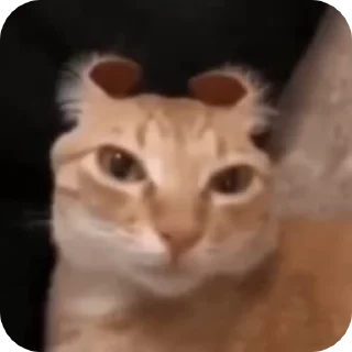 😈
