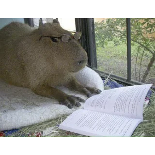 🤓
