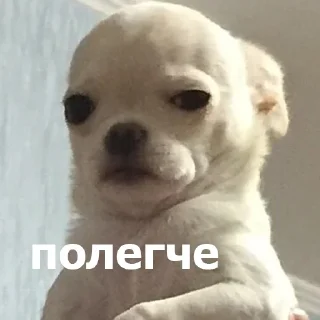 🤚