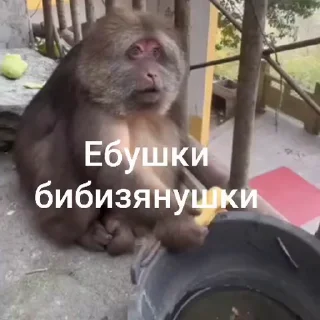 🤩