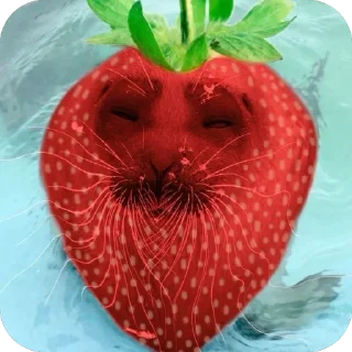 🍓