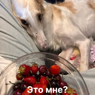 🥺