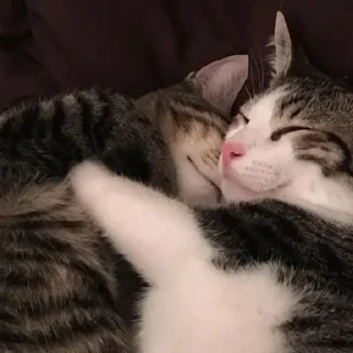 🥰
