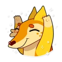 ✨