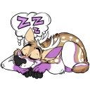 😴