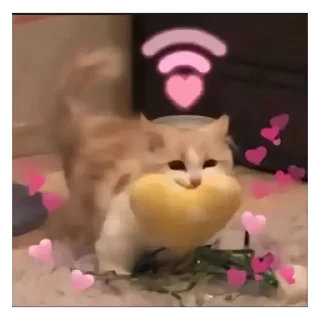 🥰