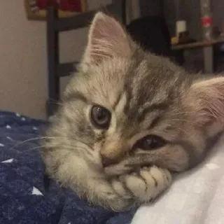 🍙