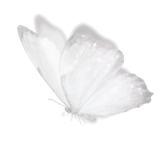 🦋