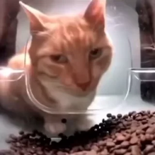 😏