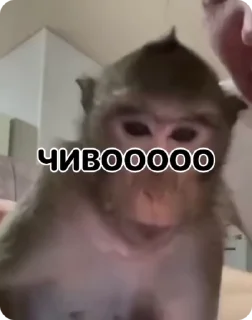😮
