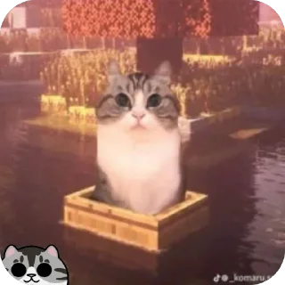 🫥