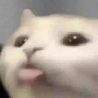 😝