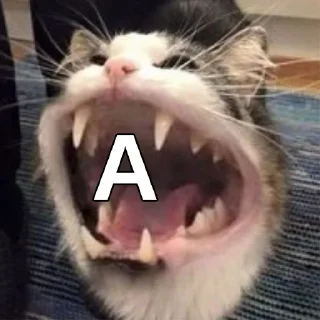 🅰️