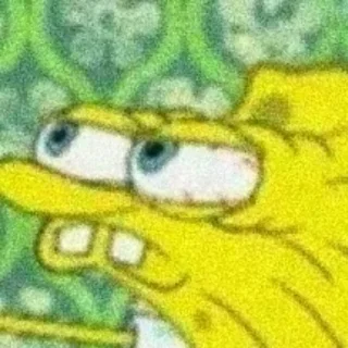 🧽
