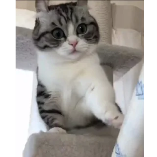 🥰