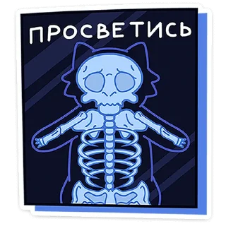🦴