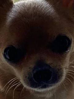 👀