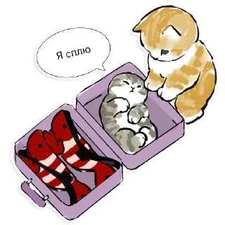 😴