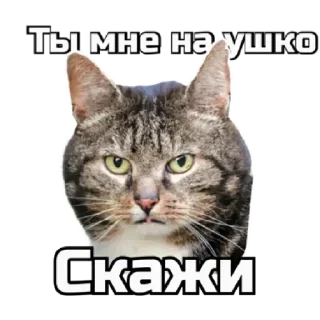 😐