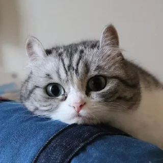 😶