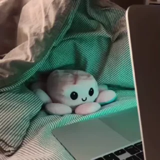 🐙