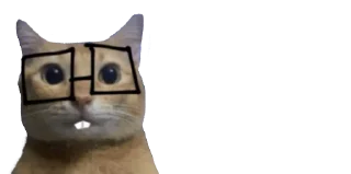 🤓