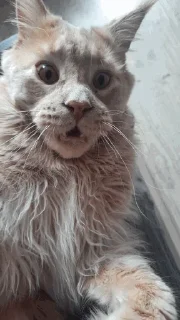 😲
