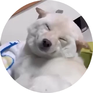 😊