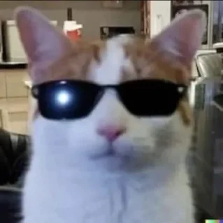 😎