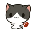 🐱