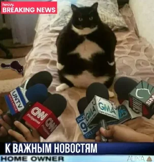 😮