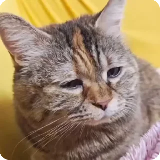 😭