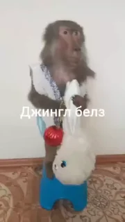 🌟