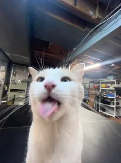 😛