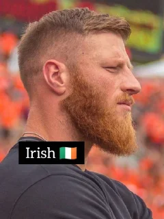 🇮🇪